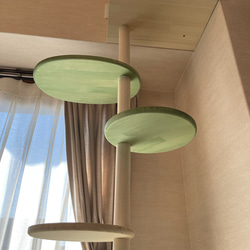 キャットタワー テラスコンパクトに新色追加！　個性で差のつく選べるポイントカラーバージョン！ 10枚目の画像