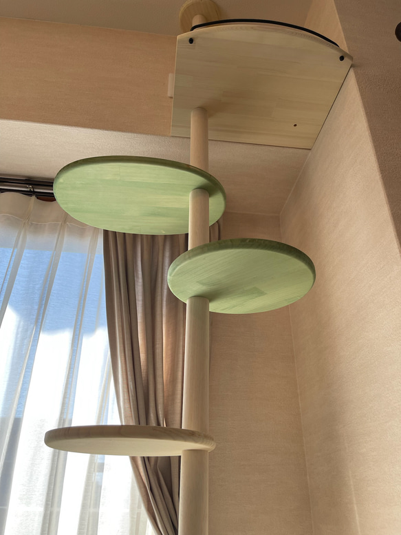 キャットタワー テラスコンパクトに新色追加！　個性で差のつく選べるポイントカラーバージョン！ 10枚目の画像