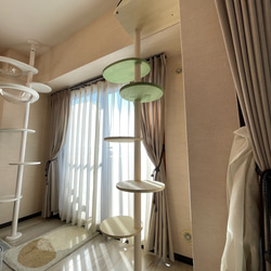 キャットタワー テラスコンパクトに新色追加！　個性で差のつく選べるポイントカラーバージョン！ 18枚目の画像