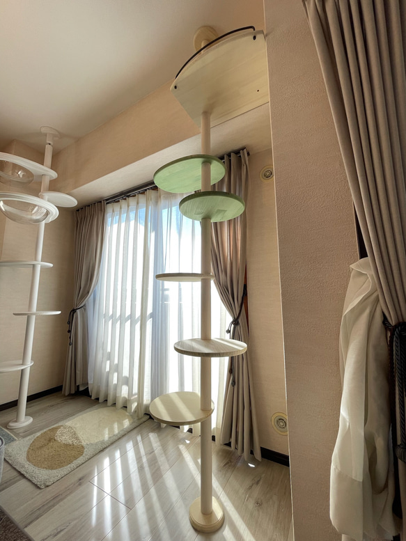 キャットタワー テラスコンパクトに新色追加！　個性で差のつく選べるポイントカラーバージョン！ 18枚目の画像