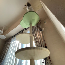 キャットタワー テラスコンパクトに新色追加！　個性で差のつく選べるポイントカラーバージョン！ 6枚目の画像