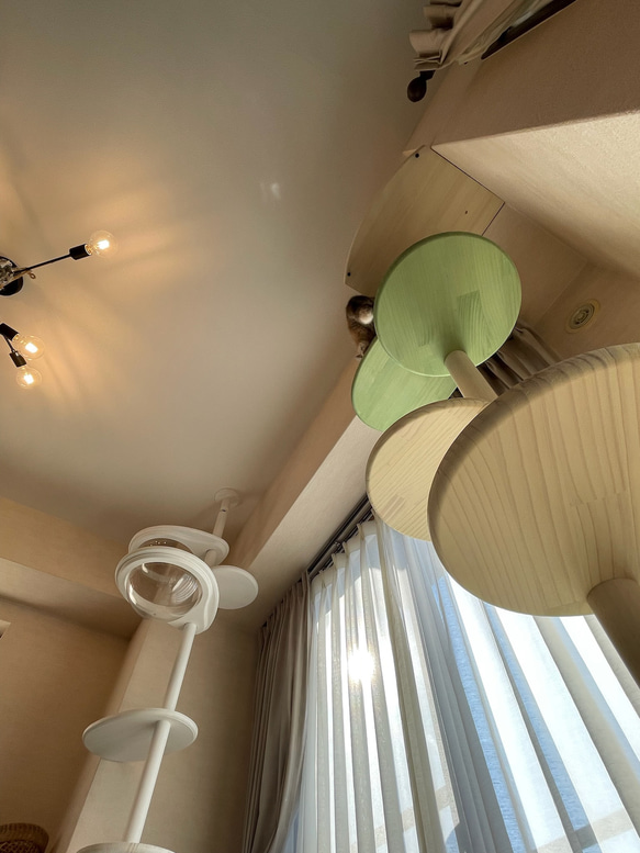 キャットタワー テラスコンパクトに新色追加！　個性で差のつく選べるポイントカラーバージョン！ 7枚目の画像