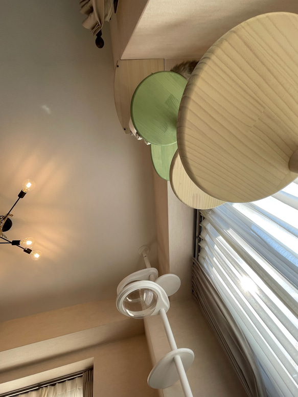 キャットタワー テラスコンパクトに新色追加！　個性で差のつく選べるポイントカラーバージョン！ 4枚目の画像