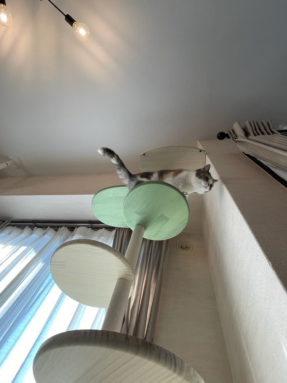 キャットタワー テラスコンパクトに新色追加！　個性で差のつく選べるポイントカラーバージョン！ 8枚目の画像