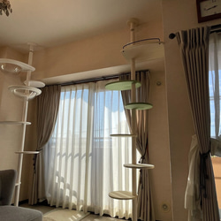 キャットタワー テラスコンパクトに新色追加！　個性で差のつく選べるポイントカラーバージョン！ 9枚目の画像