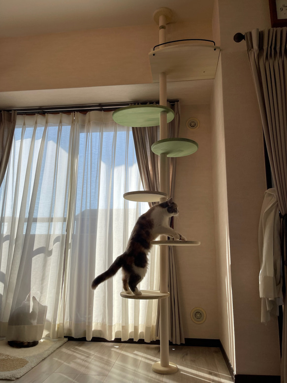 キャットタワー テラスコンパクトに新色追加！　個性で差のつく選べるポイントカラーバージョン！ 12枚目の画像