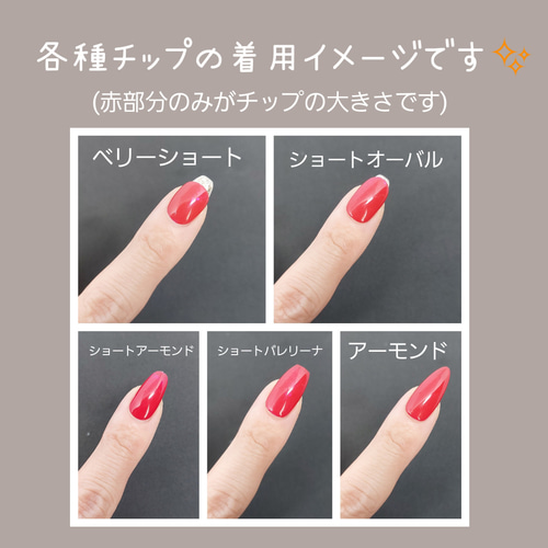 ネイルチッ　確認お願いします サイズ確認用ネイルチップ ネイルチップ（つけ爪） ligic 通販