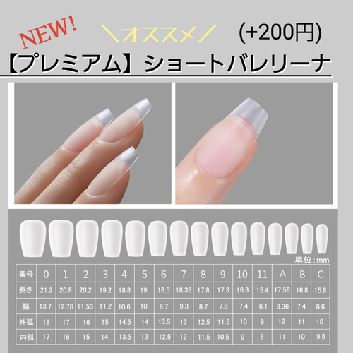 着画あり】ネイルチップNo.103 ガラスフレンチ ビジューネイル 埋め