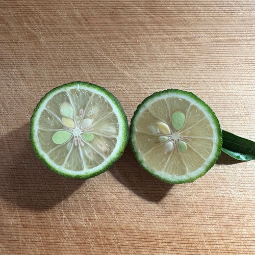 青柚子 ゆず 1kg 約20～24個 受注後収穫 ＊宅急便コンパクト その他