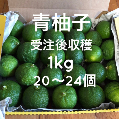 青柚子 ゆず 1kg 約20～24個 受注後収穫 ＊宅急便コンパクト その他