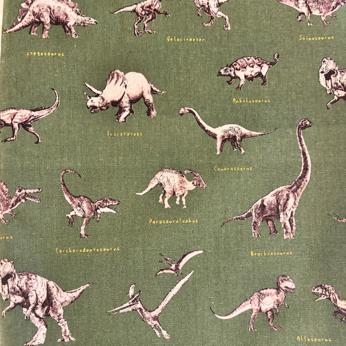 恐竜 生地紹介ページ 生地 menma 通販｜Creema(クリーマ) 18344644 