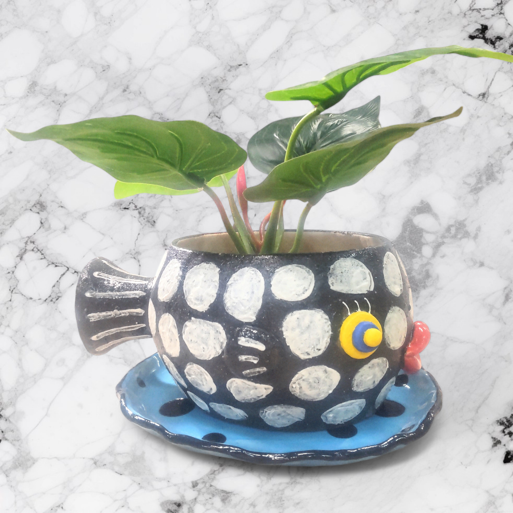 魚の植木鉢 /モンガラカワハギ植木鉢/受け皿セット