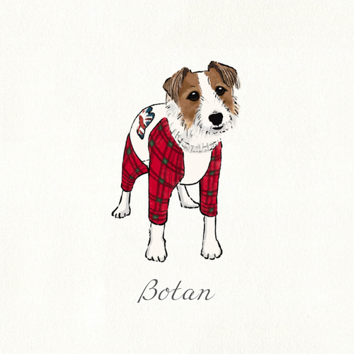 ⭐︎オーダーメイド⭐︎うちの子マスコット ペット似顔絵 オーダーメイド イラスト 犬 猫 うちの子 お描きし