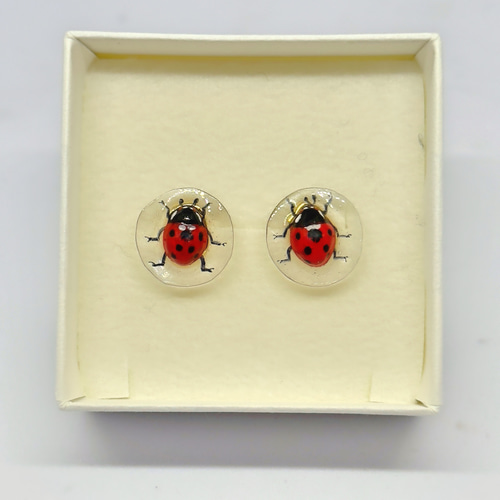 昆虫標本ピアス ⭐︎ナナホシテントウ⭐︎ ピアス（スタッド・一