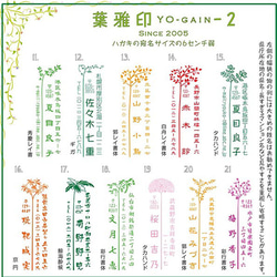 葉雅印 30年続く アドレススタンプです。草木をモチーフにしたスマートな住所判。横向きでもできます。 3枚目の画像