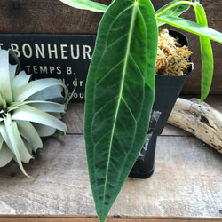 58804f6f6b0cdc04573b2e09322cb4