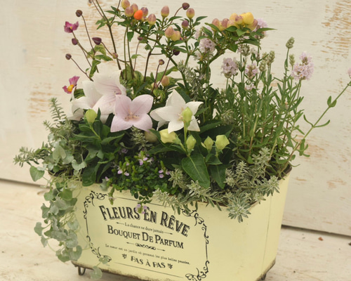 寄せ植え　lavender様　ご注文品 9436e2296e719614367d81b895d2b0