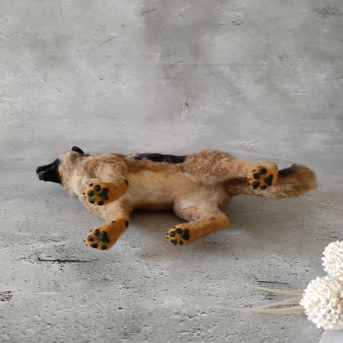 【羊毛フェルト】 ホワイトシェパード i am making a shepherd dog🐕シェパードのお顔✨🪡 #handmade