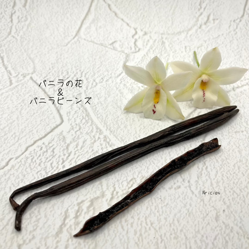 バニラビーンズ　バニラ　斑入り　a プレミアムAグレード】バニラビーンズ100g | 日本最安☆バニラ