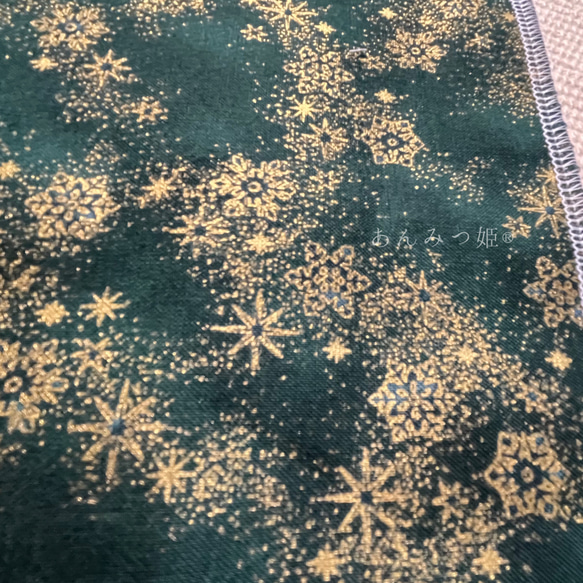  第9張的照片