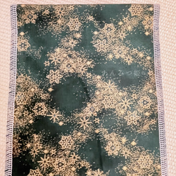  第8張的照片