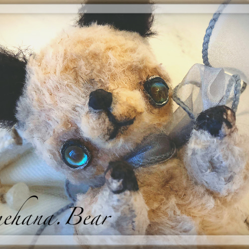 スーティーベアのくまの仔＊ teddy bear テディベア