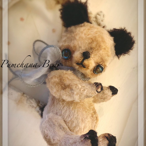 スーティーベアのくまの仔＊ teddy bear テディベア