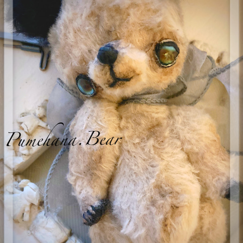 スーティーベアのくまの仔＊ teddy bear テディベア