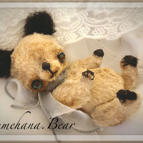 スーティーベアのくまの仔＊ teddy bear テディベア