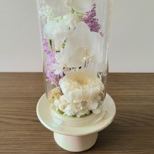 送料無料】豪華な胡蝶蘭2輪入り☆白基調ガラスドーム仏花(大