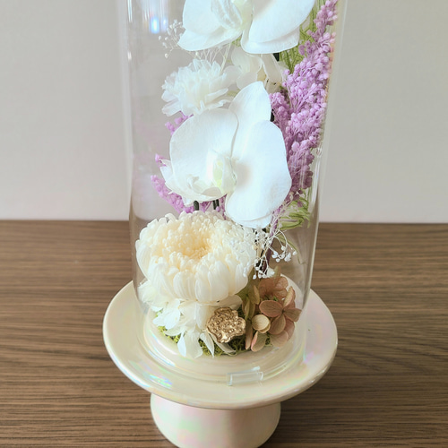 特選仏花　 大　一対 ガラスドーム 胡蝶蘭 造花無し プリザーブドフラワー 特選仏花 大 一対 ガラスドーム入り プリザーブドフラワー 造花無し