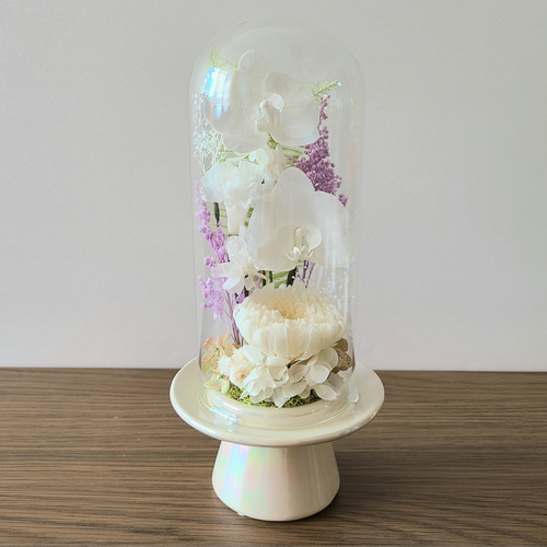 送料無料】豪華な胡蝶蘭2輪入り☆白基調ガラスドーム仏花(大