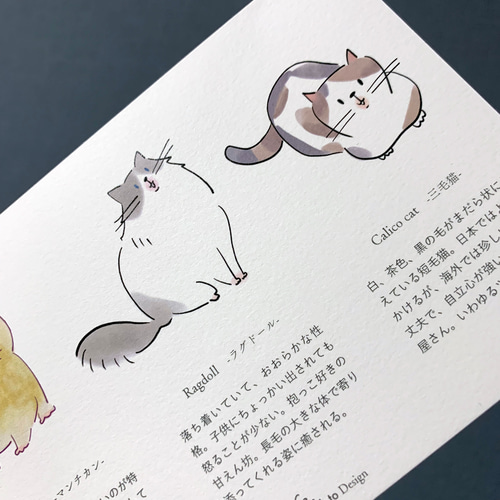 ポストカード 4枚セット（猫図鑑） イラスト FLuffy_Keito 通販
