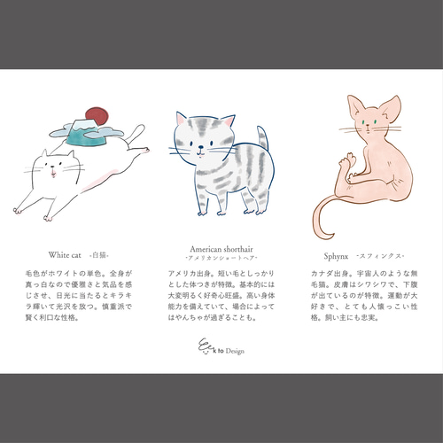 ポストカード 4枚セット（猫図鑑） イラスト FLuffy_Keito 通販