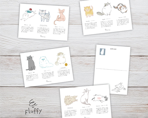 ポストカード 4枚セット（猫図鑑） イラスト FLuffy_Keito 通販
