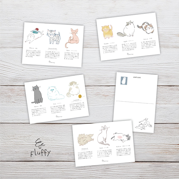 ポストカード 4枚セット（猫図鑑） イラスト FLuffy_Keito 通販
