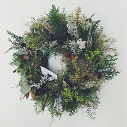 Botanical wreath 6 popolus ユーカリポポラスリース リース Creams