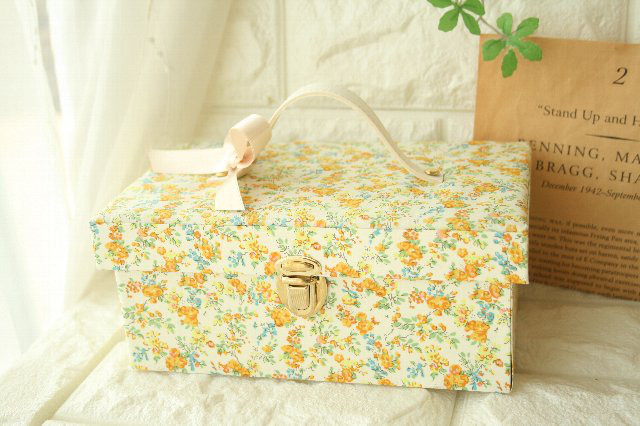 通帳・キャッシュトレーが入るマネートランク　リバティ　ムーンモス　イエロー系