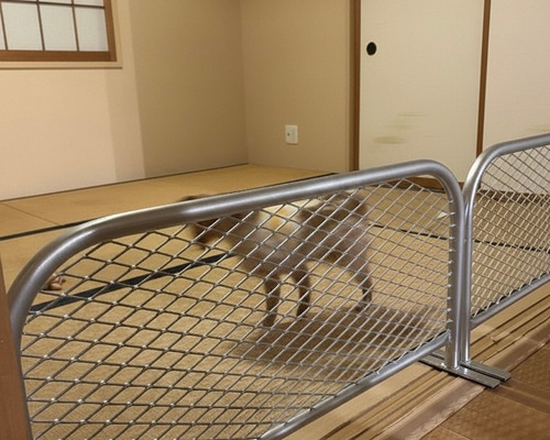 アメリカンフェンス風 ペットバリケード 間仕切り パーテーション 1000