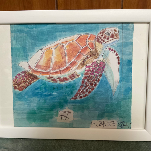 海亀 絵画 artist tomo 通販 18350307|Creema(クリーマ) 海亀 絵画 artist tomo 通販 18350307|Creema(クリーマ)