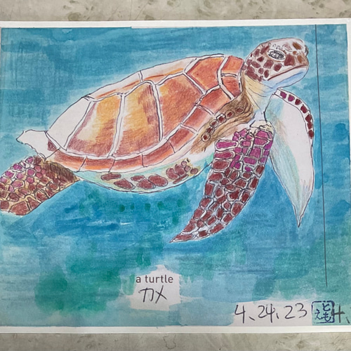 海亀 絵画 artist tomo 通販 18350307|Creema(クリーマ) 海亀 絵画 artist tomo 通販 18350307|Creema(クリーマ)