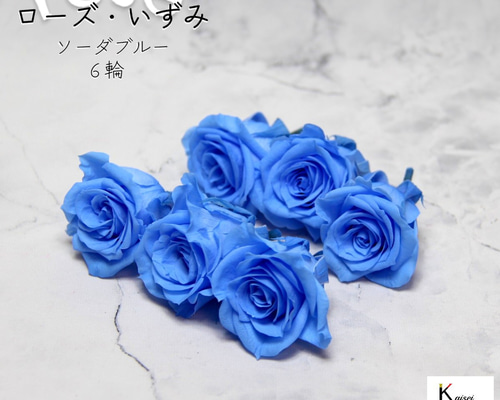 【値下げ】プリザーブドフラワー　花材　大地農園　ビビアン・ミミ・いずみ 値下げ】プリザーブドフラワー 花材 大地農園 ビビアン・ミミ