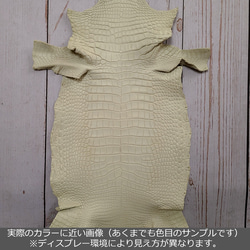 ワニ革  半艶マット アイスグレージュ  No.C007250 2枚目の画像