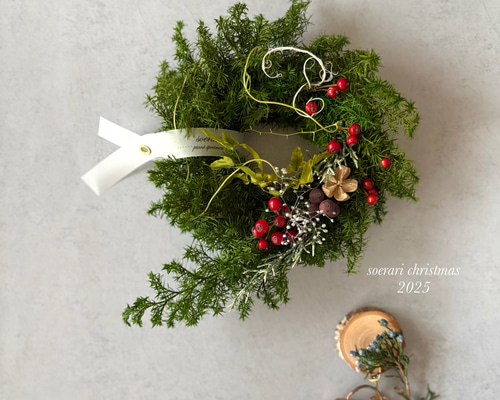 再販12】小さな森のクリスマスリース リース soerari 通販 18350672