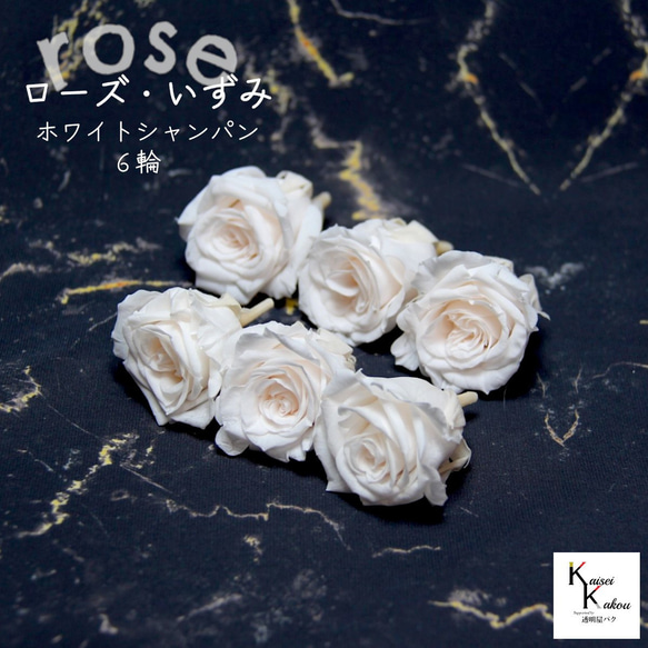 ハンドメイド 花材 ドライフラワー リトルウッズ 薔薇 r-6 ハー