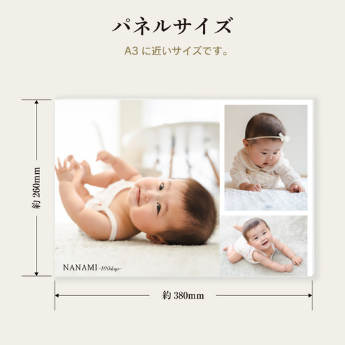 アイフォト｜レクタングルラージ【photo3枚】名入れ/壁掛け/ペット