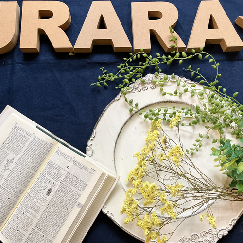 ハイブリッドスターチス（イエロー）ドライフラワー その他素材