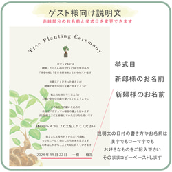 送料無料 結婚証明書 ゲスト参加型  ガジュマル 記念樹 ウェディング 植樹セレモニー 植樹の儀 【ガジュマル】 7枚目の画像