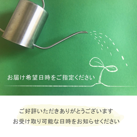 送料無料 結婚証明書 ゲスト参加型  ガジュマル 記念樹 ウェディング 植樹セレモニー 植樹の儀 【ガジュマル】 14枚目の画像