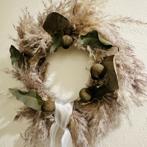 パンパスグラスリース ivorynoon パンパス ドライフラワー リース グレイジュ 天使の羽 天使